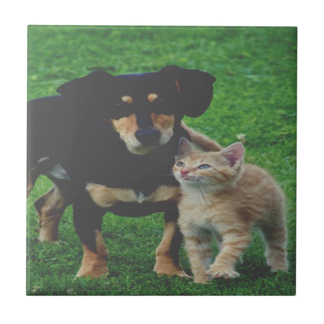 Personalized Pet Photo Ceramic Tile (Front)