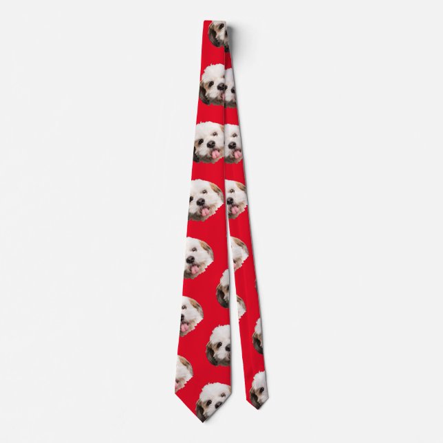 Personalized Pet Photo Christmas Present Socks Tie (Front)