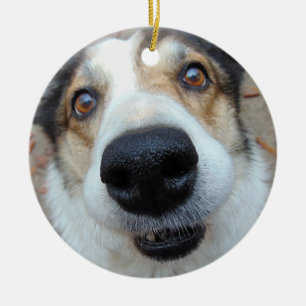 Personalized Pet Photo Dog Lover Custom Text Ceramic Ornament