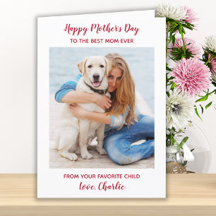  Personalized Pet Photo Dog Mom Mother's Day Holiday Card