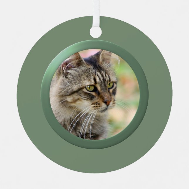 Personalized Pet Photo Frame (Green) Metal Ornament (Front)