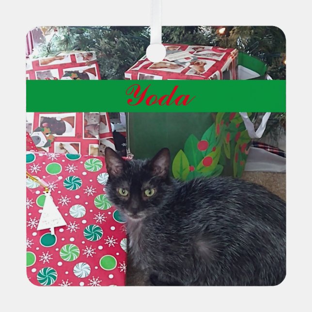 Personalized Pet Photo Green Red Simple Metal Ornament (Front)