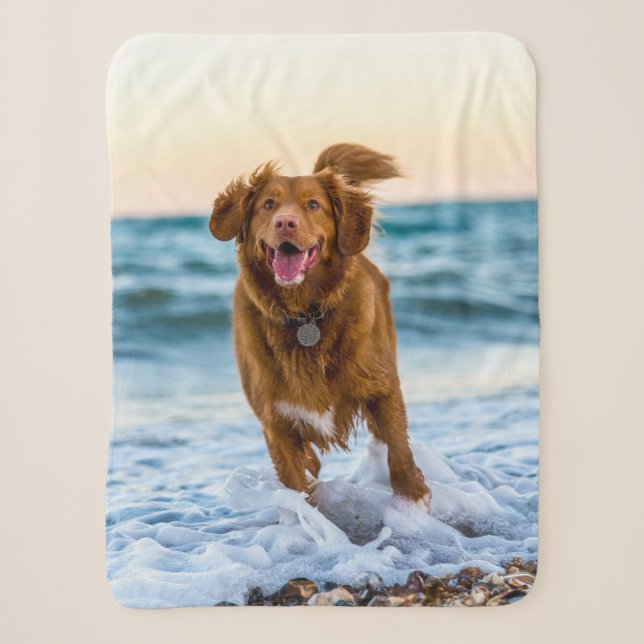 Personalized Pet Photo Keepsakes Gift Idea Sherpa Blanket (Front)