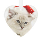 Personalized Pet Photo | Memorial Keepsake