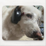 Personalized Pet Photo  Mouse Pad<br><div class="desc">This unique mouse pad can be personalized with your pet's photo ,  making it the perfect accessory for any pet lover who wants to keep their furry friend close while working ,  studying or gaming.</div>