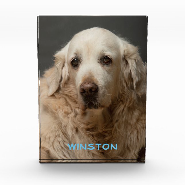 Personalized Pet Photo & Name Block (Front)