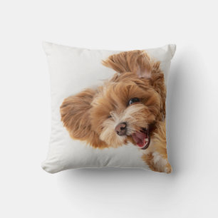 Personalized Pet Photo, Paw & Name Throw Pillow