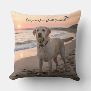 Personalized Pet Photo Pillow with Name - 20 x 20