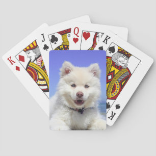 Personalized Pet Photo Playing Cards