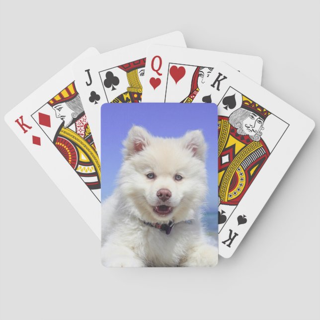 Personalized Pet Photo Playing Cards (Back)