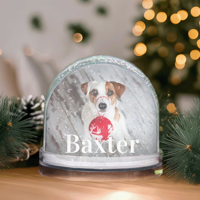 Personalized Pet Photo Snowglobe (Creator Uploaded)