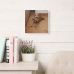 Personalized Pet Photo  Square Wall Clock<br><div class="desc">Bring your friend to every hour of your day!
This wall clock can be personalized with your pet's photo,  perfect for animal lovers who want to combine functionality with personality,  this clock makes every glance at the time aa reminder of your loyal companion</div>