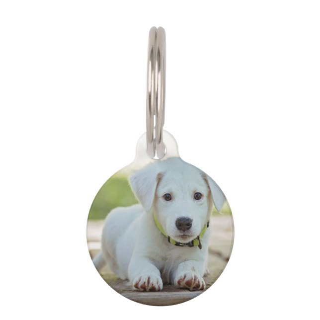 Personalized Pet Photo   Tag (Front)