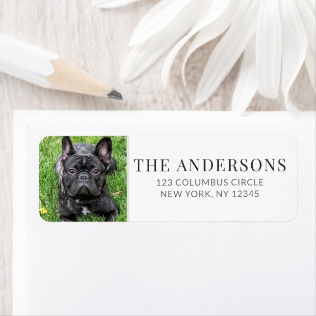 Personalized Pet Photo White Return Address  (Insitu)