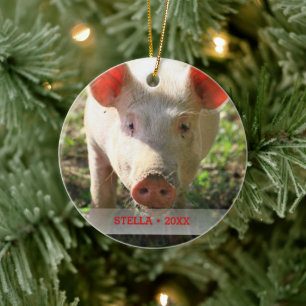 Personalized Pet Pig Photo & Name Christmas Tree Ceramic Ornament