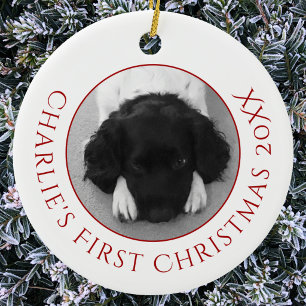 Personalized Pet Puppy Dog First Christmas Photo Ceramic Ornament