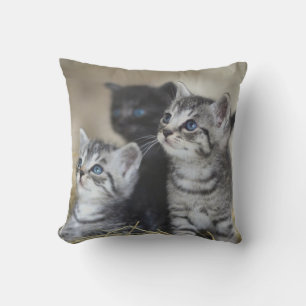 Personalized Pet Throw Pillow