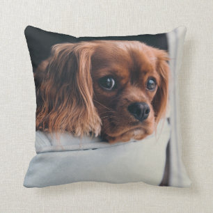 Personalized Pet Throw Pillow