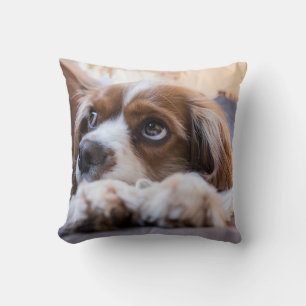 Personalized Pet Throw Pillow