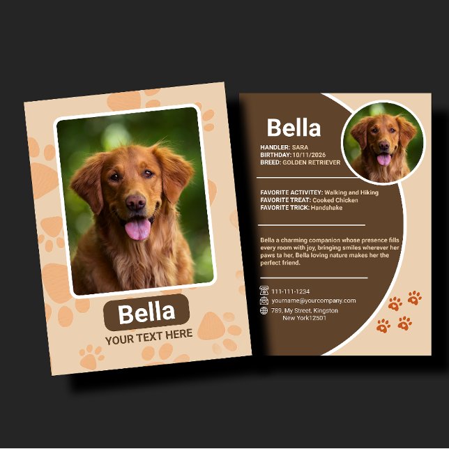 Personalized Pet Trading Card Birthday Gift (Creator Uploaded)