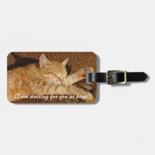 Personalized pet's photo luggage tag