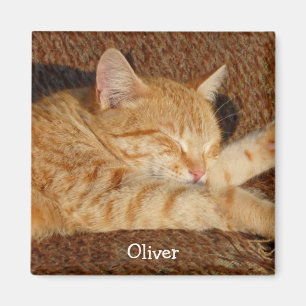 Personalized pet's photo magnet