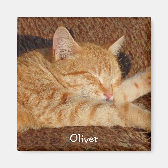 Personalized pet's photo magnet (Front)
