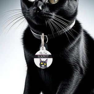 Personalized Phone Number and Address Cat Pet Tag
