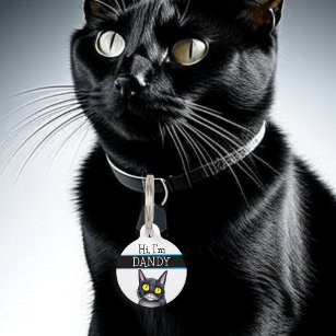 Personalized Phone Number and Address Cat Pet Tag