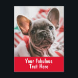 Personalized Photo and Text Postcard<br><div class="desc">Personalized Photo and Text Postcard</div>