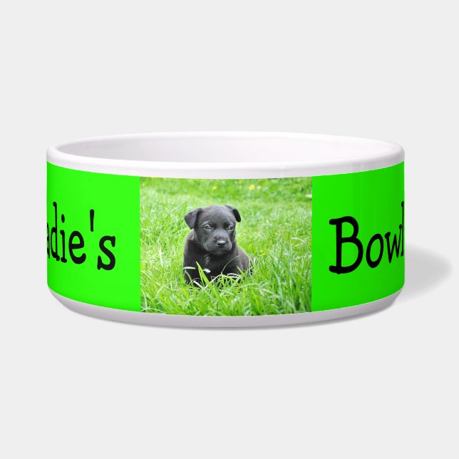 Personalized Photo Custom Colour Dog (Front)