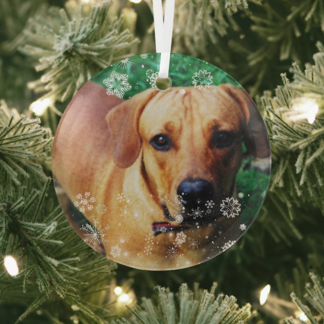 Personalized Photo Glass Christmas Tree Ornament (Insitu)