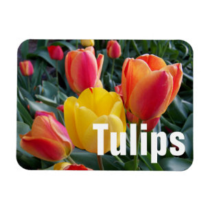Personalized Photo Magnet