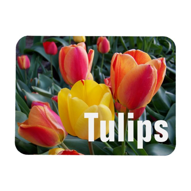 Personalized Photo Magnet (Horizontal)
