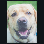 Personalized photo or art  magnet<br><div class="desc">Personalized magnet from Ricaso - add your own personalized photograph or artwork,  add text using the design tool,  great photo gift ideas and personal keepsakes</div>