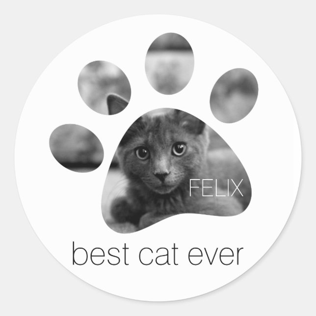 Personalized Photo Paw Print Classic Round Sticker (Front)
