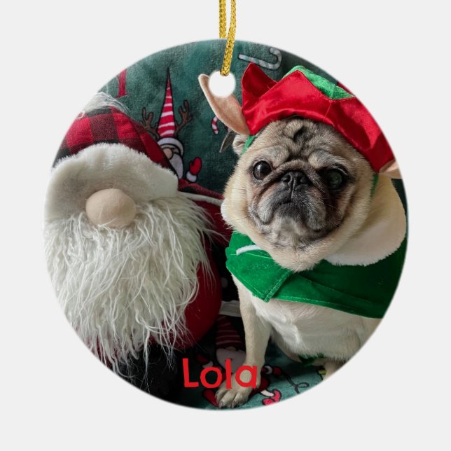 Personalized Photo Pet Memorial Ornament (Front)