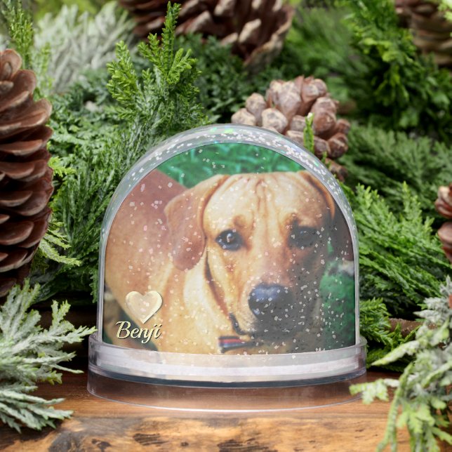Personalized Photo Pet Memorial Snow Globe  (Winter)