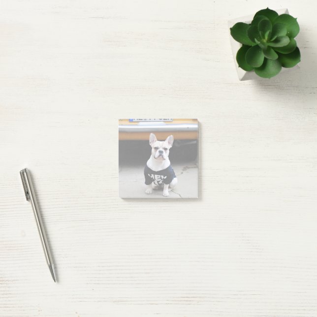 Personalized Photo Post-it Notes (Office)