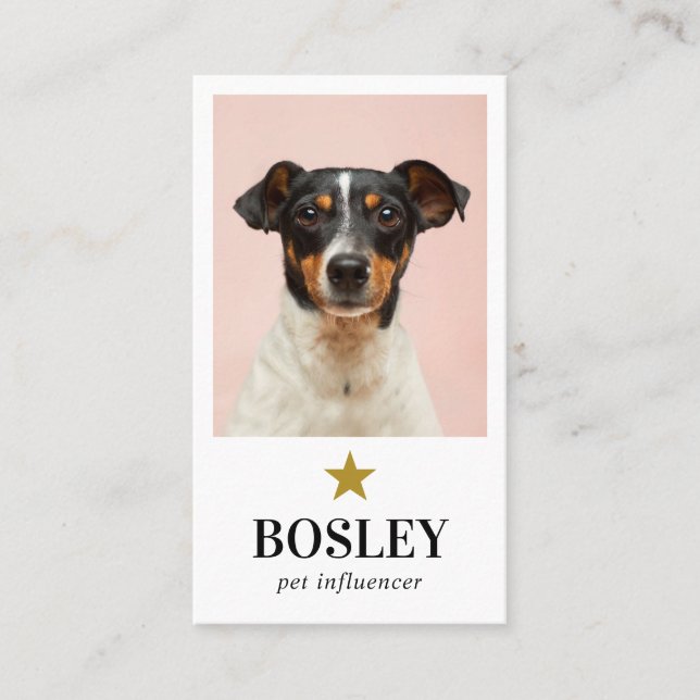 Personalized Photo QR Code Social Media Pet Star Business Card (Front)
