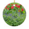 Personalized Photo Round Ceramic Ornament