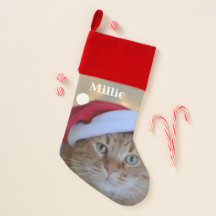 Personalized photo stocking with puppy name