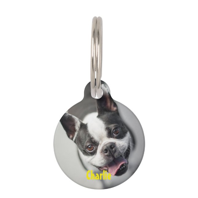 Personalized Photo & Text Round Pet Tag (Front)