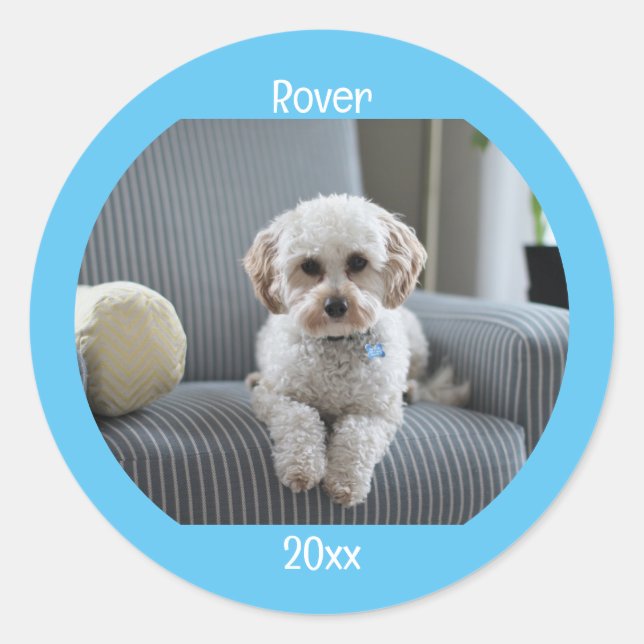 Personalized Photo Two Lines Text Custom Classic Round Sticker (Front)
