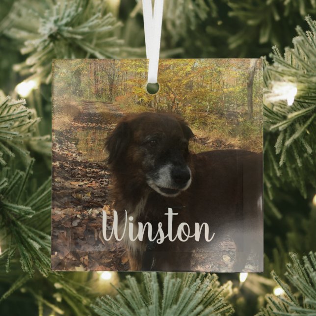 Personalized Photo White Script Glass Ornament (Insitu)