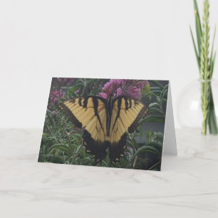 Personalized Photo Yellow and Black Butterfly  Card