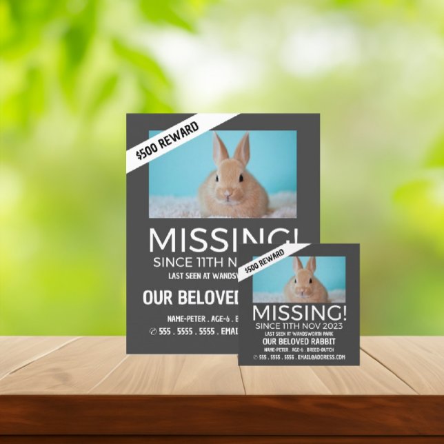 Personalized Photograph, Missing, Lost Pet Cards (Creator Uploaded)