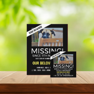 Personalized Photograph, Missing, Lost Pet Cards