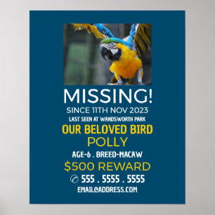Personalized Photograph, Missing, Lost Pet Poster