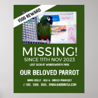 Personalized Photograph, Missing, Lost Pet